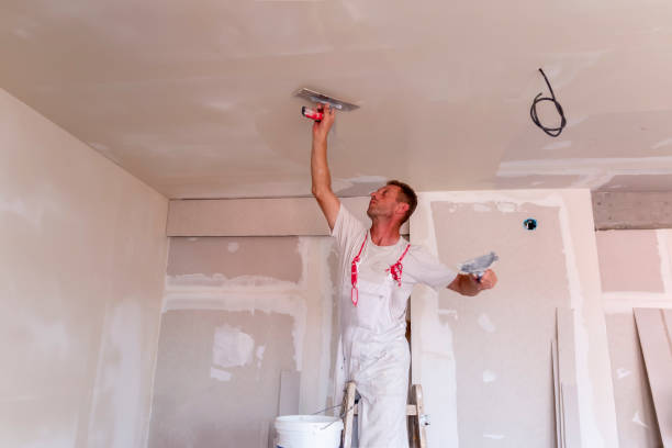 Best Acoustic or Soundproof Drywall Installation  in St Augustine South, FL